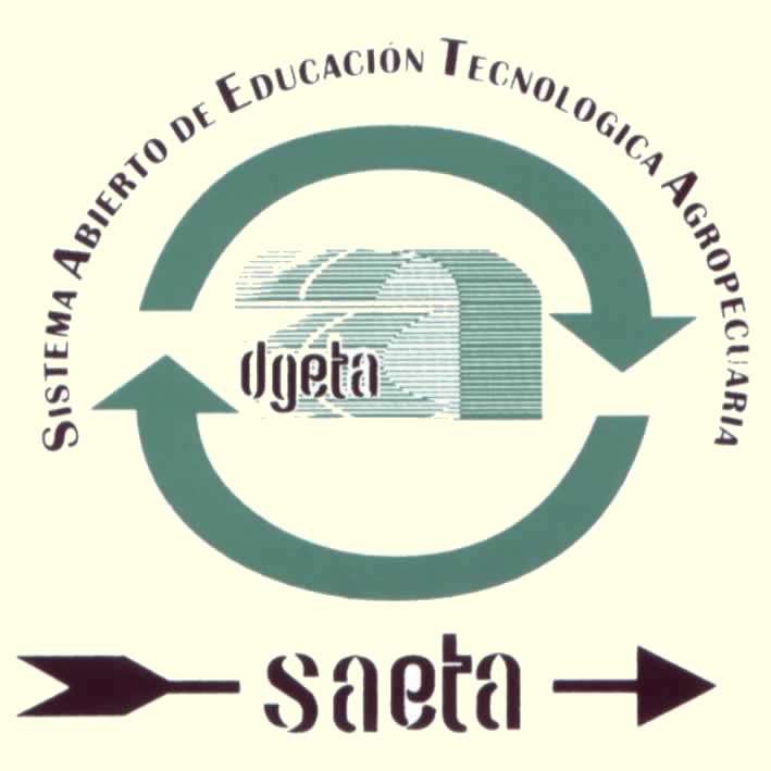 SAETA